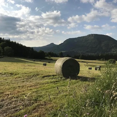 Apartment T3 50m² Avec Parking Privatif Au Mont-dore - Fr-1-608-157 *