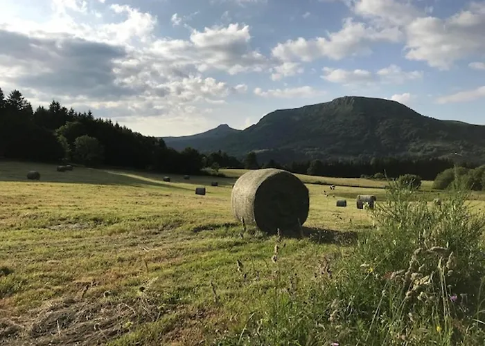 Apartment T3 50m² Avec Parking Privatif Au Mont-dore - Fr-1-608-157 *